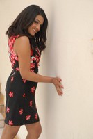 Tashu Kaushik Latest Pics